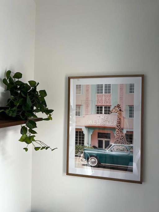 Central Chic 3 Bed, Great Location Winchester Buitenkant foto